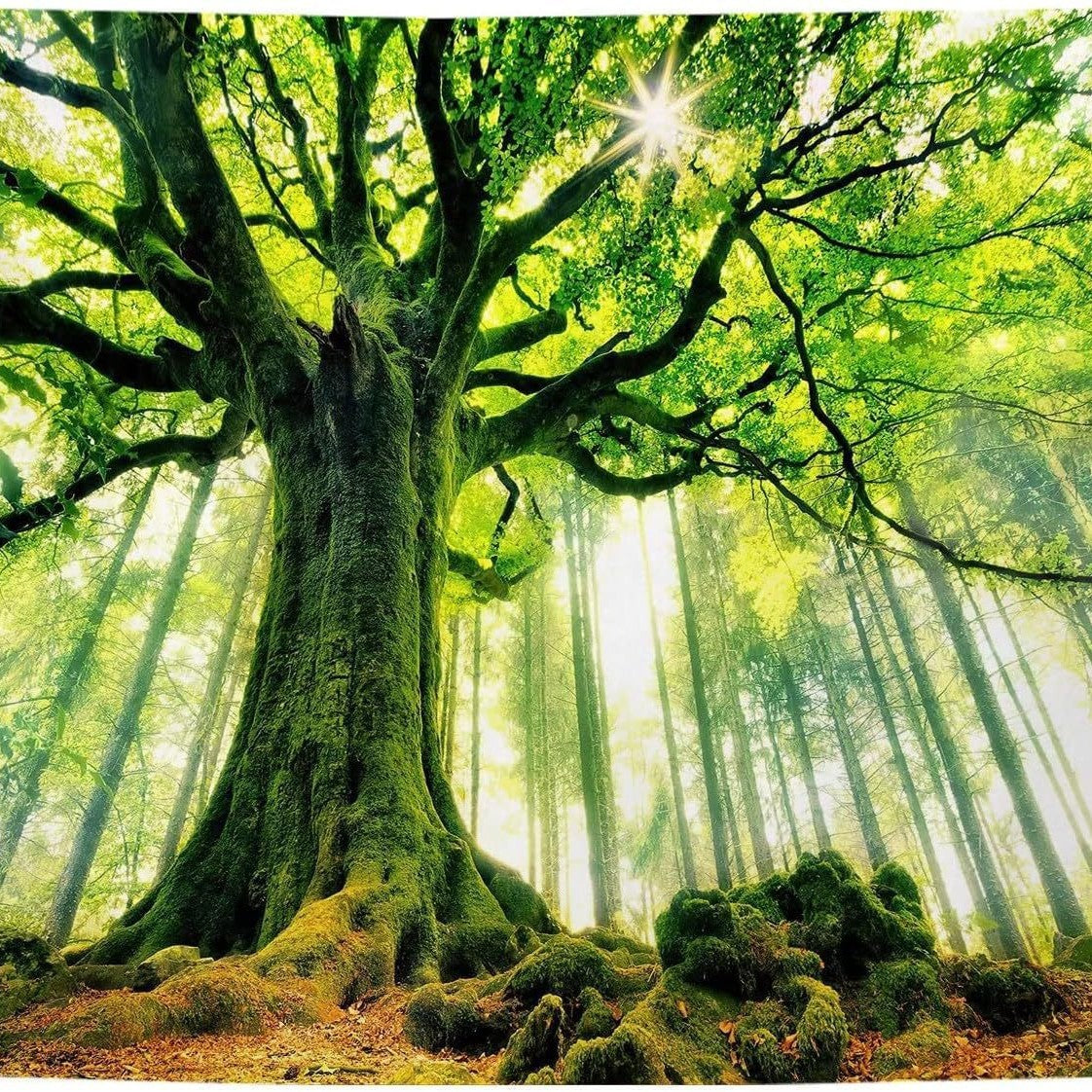 Cross-Border Tapestry Natural Forest Sunlight through Leaves Scenery Wall Tapestry Living Room Wall Background Decoration Bedroom